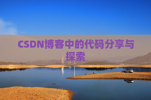 CSDN博客中的代码分享与探索